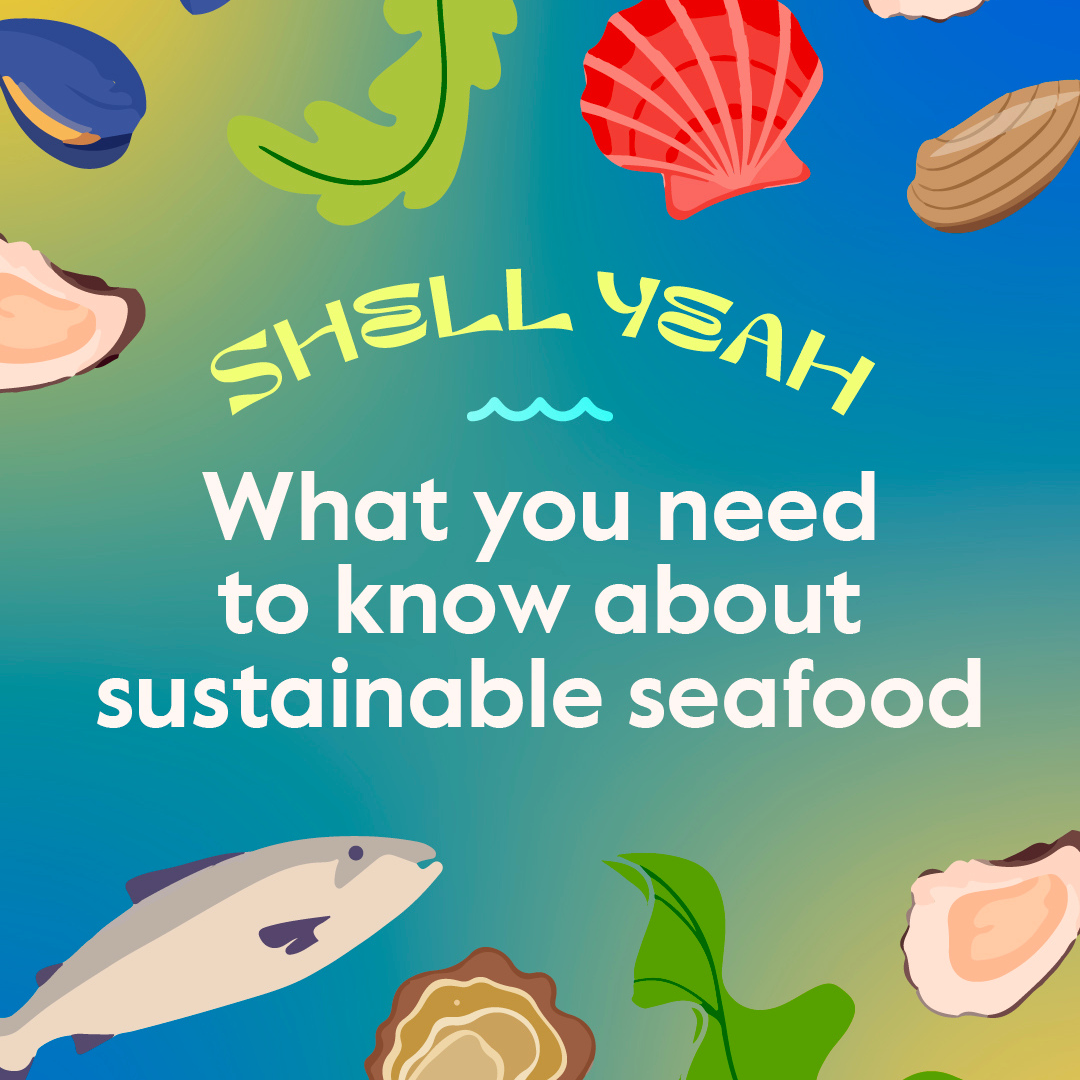 What You Need To Know About Sustainable Seafood