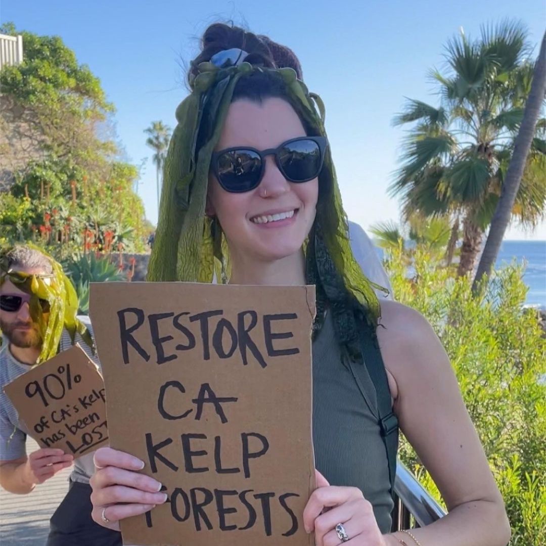 Carboard sign that says restore CA kelp forests