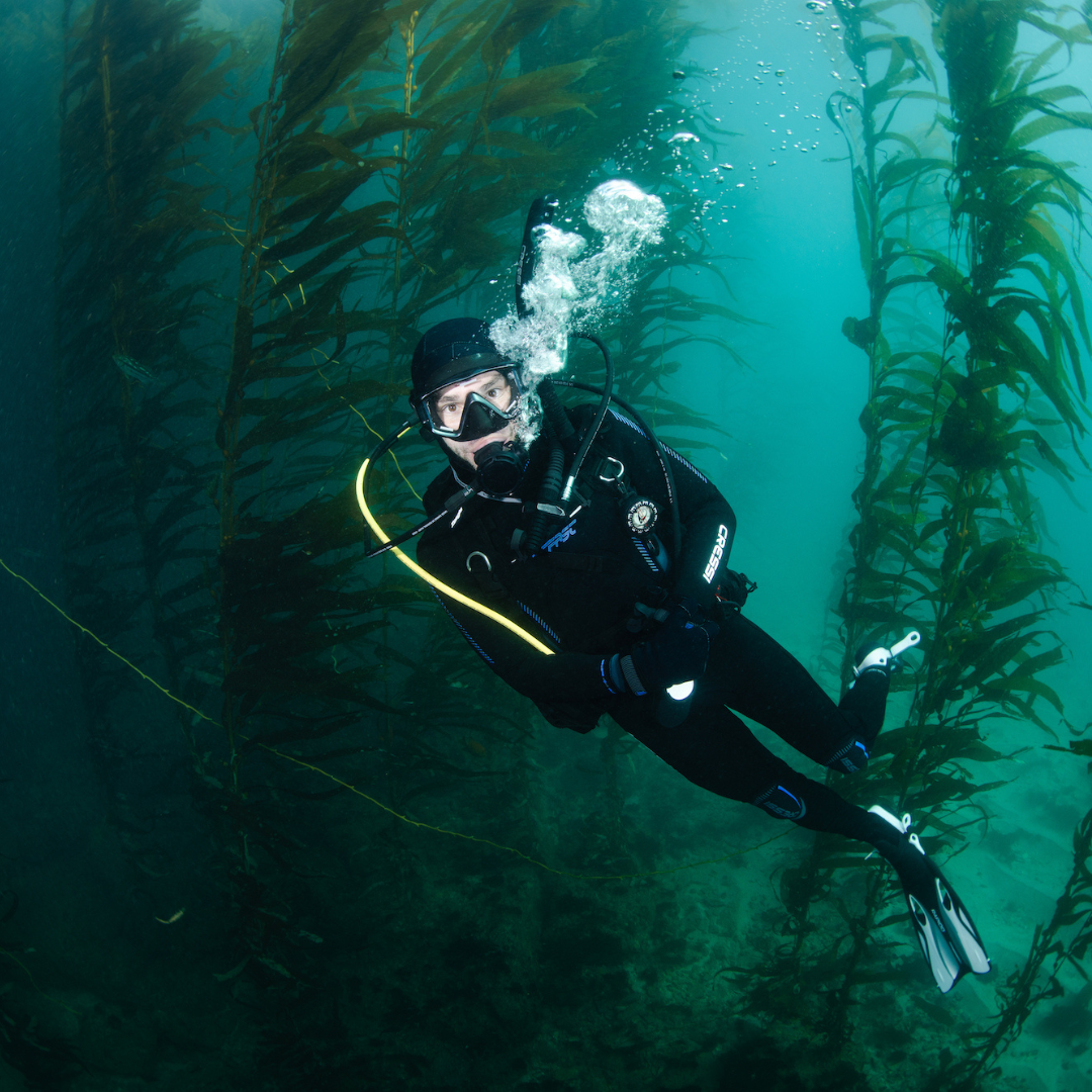 12 Tides Founder Pat scuba diving through a kelp forest