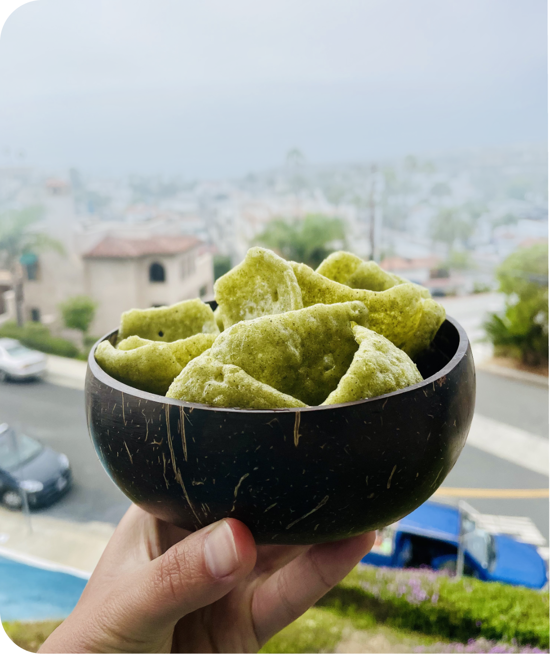 A person holding a bowl of Kelp chips, ready to be enjoyed.